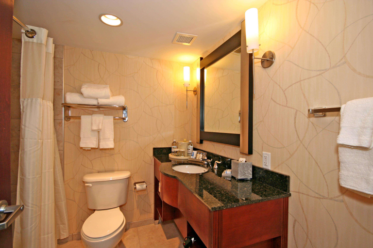 Bathroom 5, Doubletree Hotel Greensboro , Guilford
