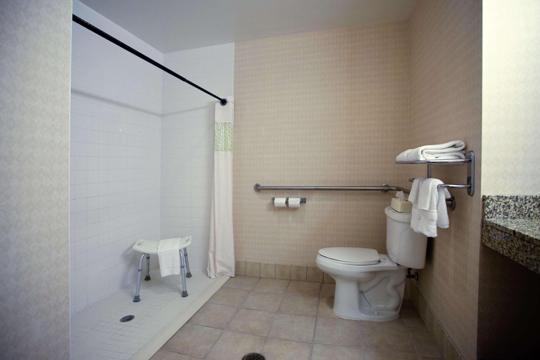Bathroom 4, Hampton Inn Carrollton, Carroll