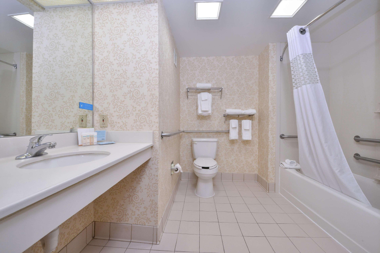 Bathroom 5, Hampton Inn Waynesboro/Stuarts Draft, Augusta