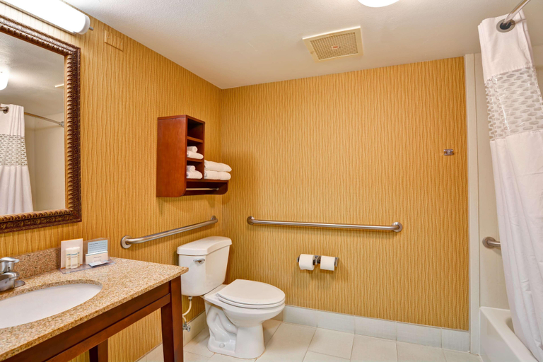 Bathroom 5, Hampton Inn Jacksonville-Downtown-I-95, Duval