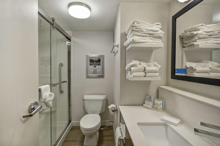 Bathroom 4, Hampton Inn Auburn, Lee