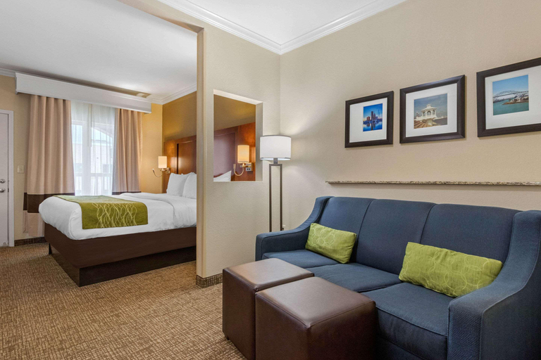 Public Area 2, Comfort Suites Corpus Christi Central, Nueces