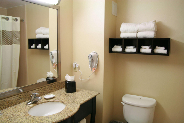 Bathroom 4, Hampton Inn Topeka, Shawnee