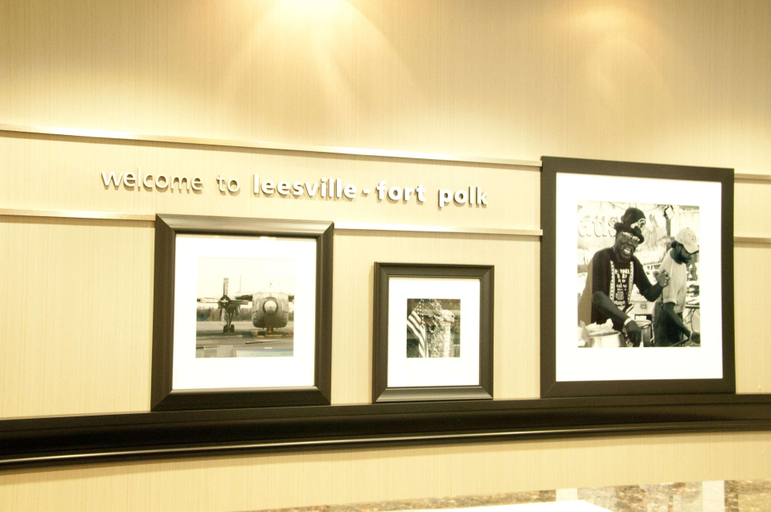 Public Area 2, Hampton Inn by Hilton Leesville Fort Polk, Vernon