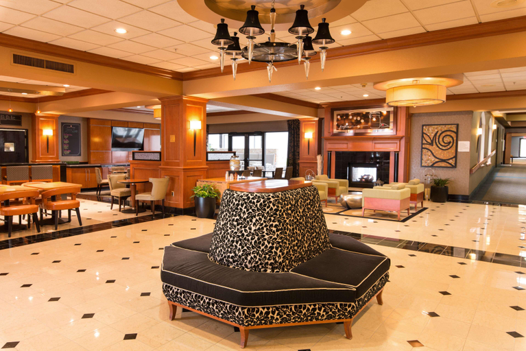 Public Area 3, Hilton Garden Inn Las Colinas, Irving