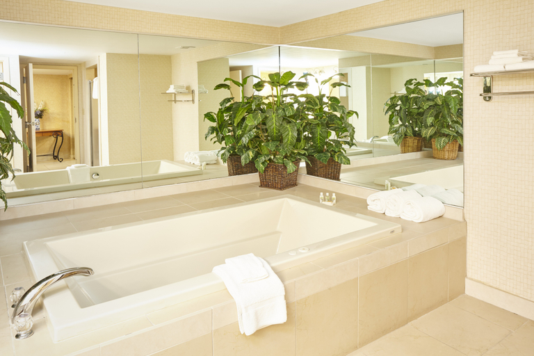 Bathroom 4, Delta Hotels Allentown Lehigh Valley, Lehigh