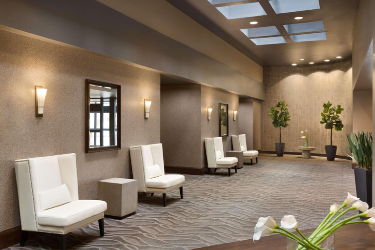 Public Area 5, Hilton Greenville, Pitt