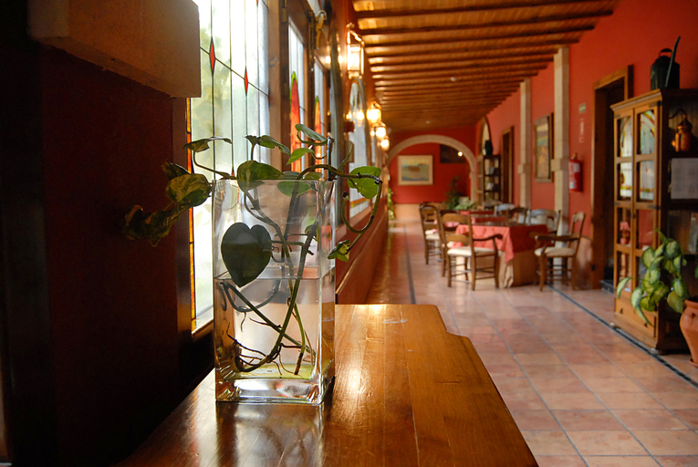 Public Area 3, Hotel Alegria Bodega Real, Cádiz