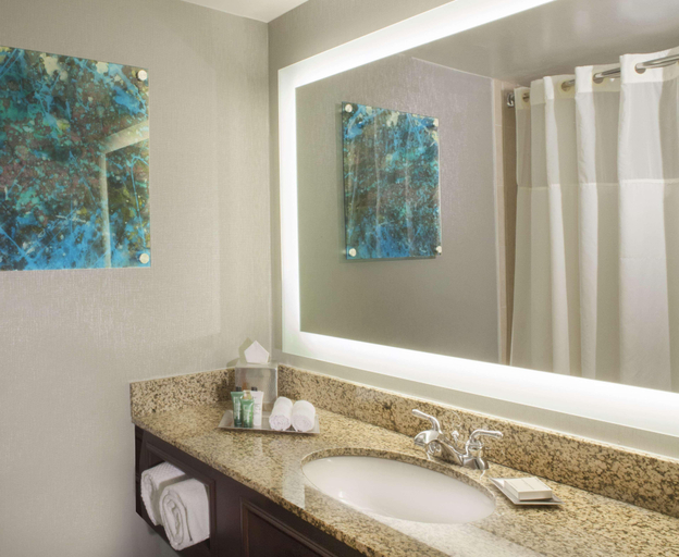 Bathroom 5, Hilton Houston NASA Clear Lake, Houston