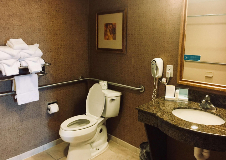 Bathroom 5, Hampton Inn&Suites Chesapeake-Battlefield Blvd , Chesapeake