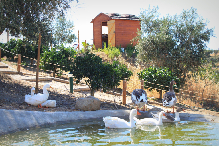 Hotel O Gato & SPA, Ferreira do Alentejo