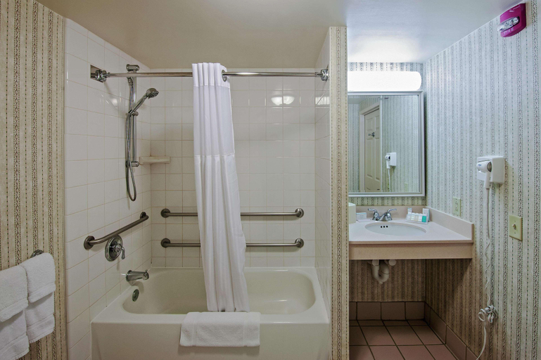 Bathroom 4, Hilton Garden Inn Allentown Airport , Lehigh