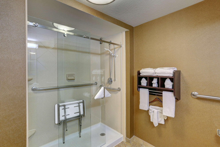 Bathroom 4, Hampton Inn Nashville-I-24 Hickory Hollow, Davidson