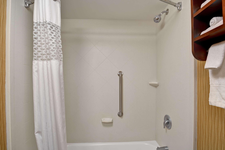 Bathroom 5, Hampton Inn Jacksonville-Downtown-I-95, Duval