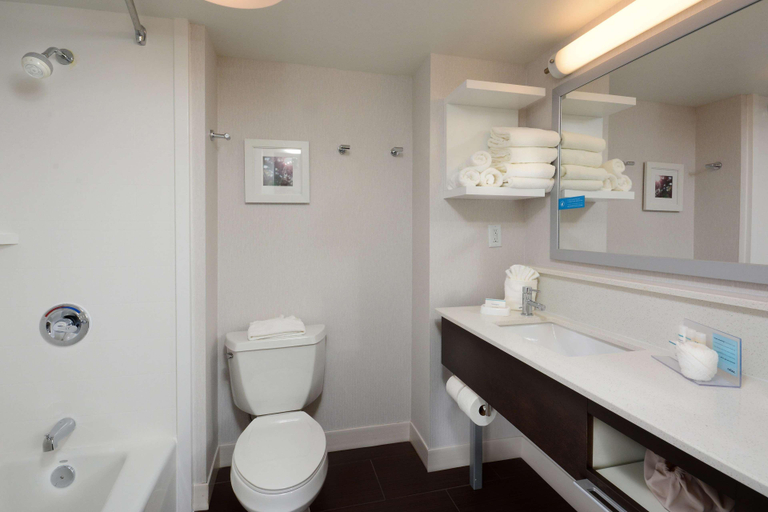 Bathroom 4, Hampton Inn Charlotte-North/Lake Norman, Mecklenburg