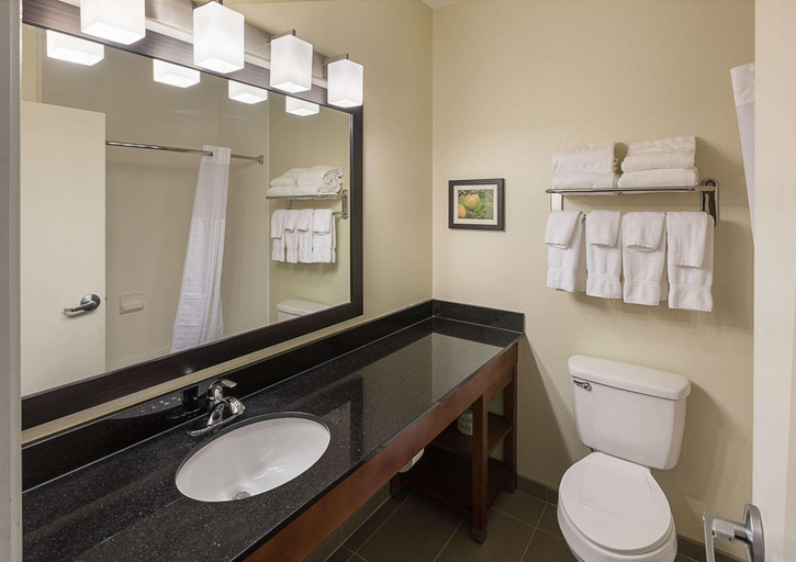 Bathroom 4, Comfort Suites Saginaw Area, Saginaw
