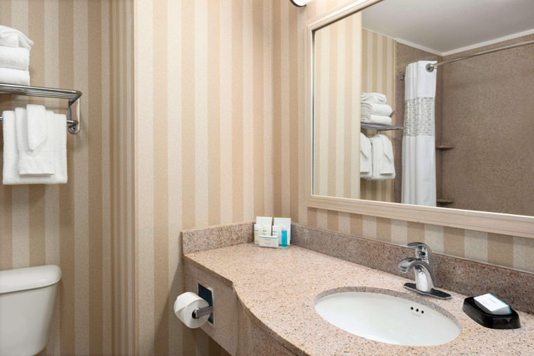 Bathroom 4, Hampton Inn & Suites Detroit/Sterling Heights, Macomb