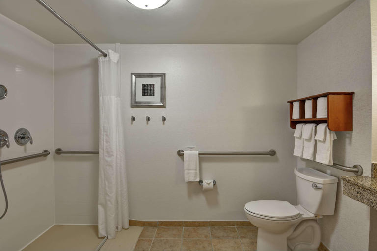 Bathroom 4, Hampton Inn Birmingham/Mountain Brook, Jefferson