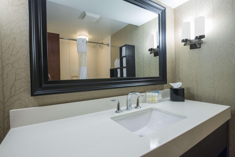 Bathroom 4, Hampton Inn Greenwood, Greenwood