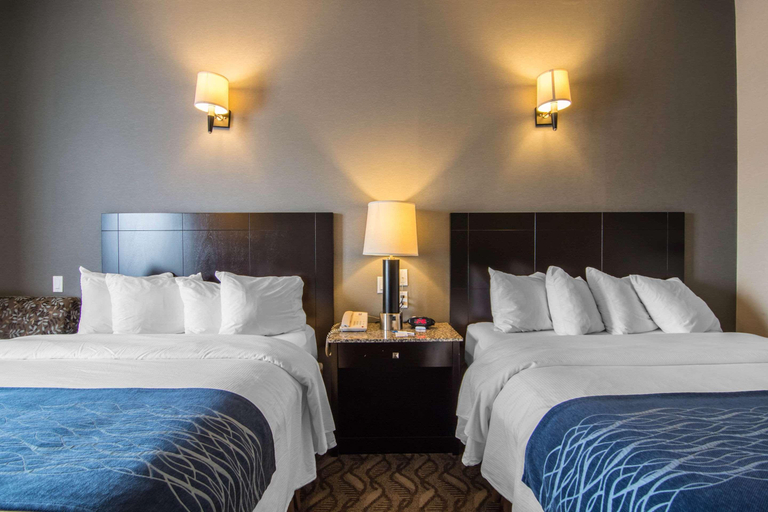Bedroom 4, Comfort Inn & Suites, Division No. 11