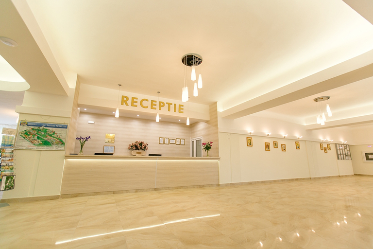 Public Area, Hotel Poienita, Sanmartin