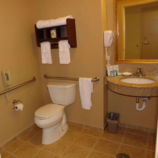Bathroom 5, Hampton Inn Gallipolis, Gallia