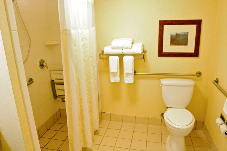 Bathroom 4, Hilton Garden Inn Albany, Dougherty