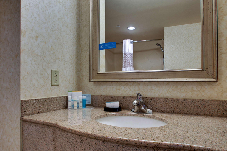 Bathroom 5, Hampton Inn & Suites Spartanburg-I26-Westgate Mall, Spartanburg