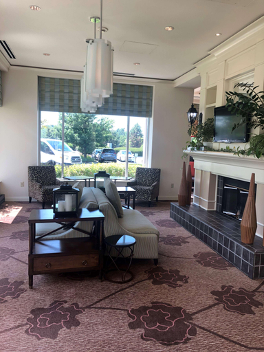 Public Area 2, Hilton Garden Inn Addison, Dupage