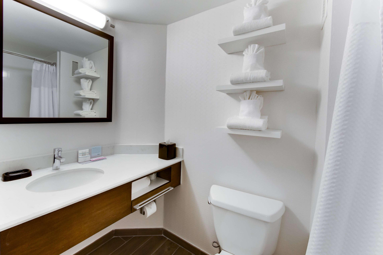 Bathroom 5, Hampton Inn Harrisonburg - University, Harrisonburg