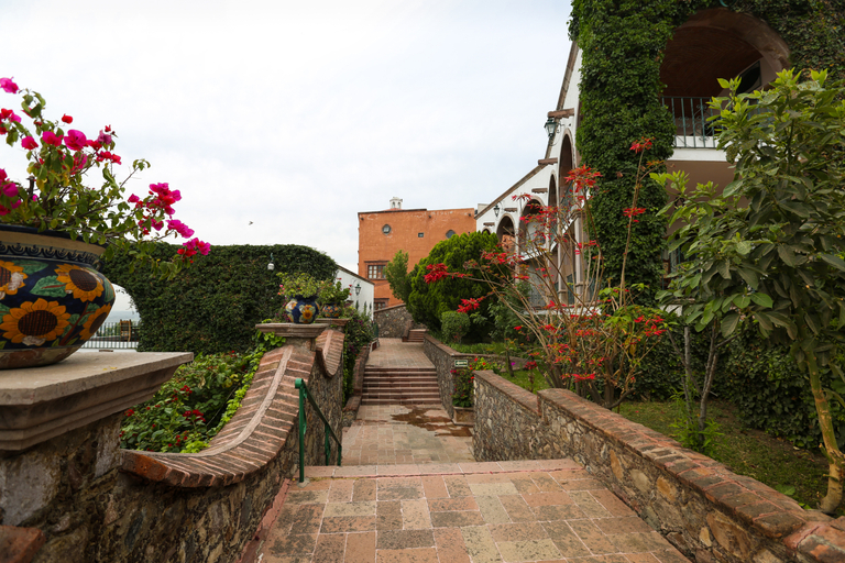Others 5, Posada la Ermita, Allende