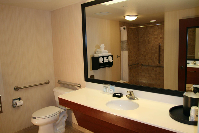 Bathroom 4, Hampton Inn Lacrosse/Onalaska , La Crosse