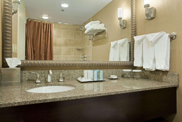 Bathroom 5, Hilton Burlington, Chittenden