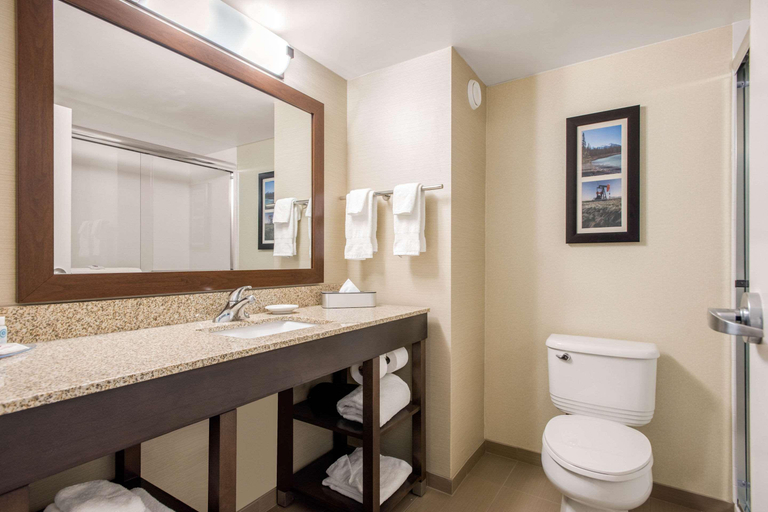 Bathroom 4, Comfort Inn & Suites Red Deer, Division No. 8