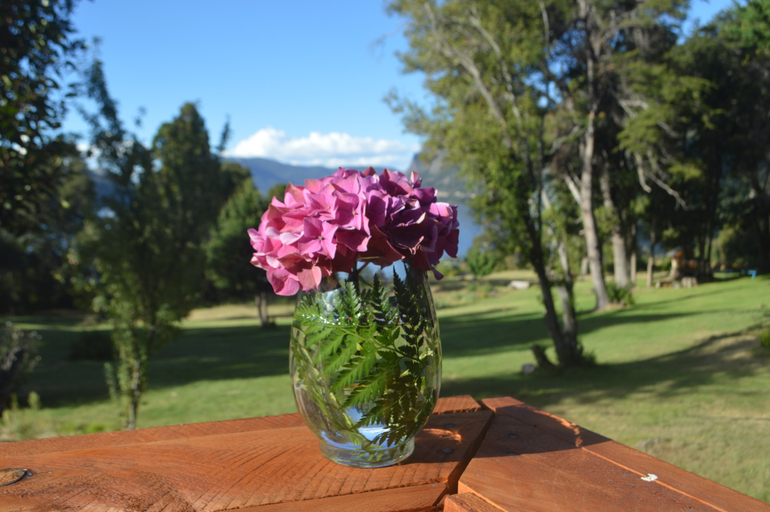 Public Area 4, Casa del Lago Resort, Bariloche
