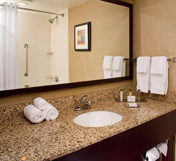 Bathroom 5, DoubleTree by Hilton Pittsburgh-Meadow Lands, Washington