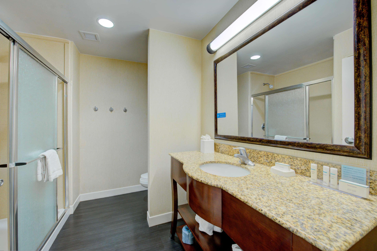 Bathroom 4, Hampton Inn Baton Rouge - Denham Springs , Livingston