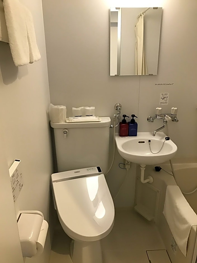 Bathroom 4, Sapporo Oriental Hotel, Sapporo