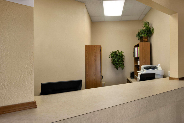 Public Area 3, Rodeway Inn Effingham North, Effingham
