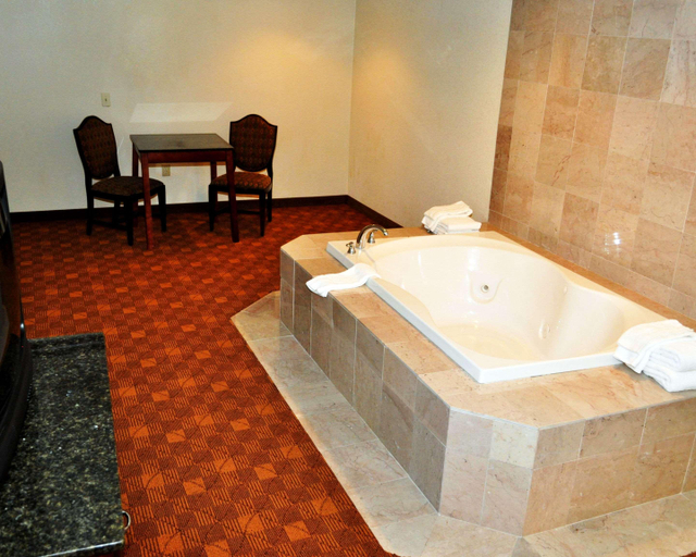 Bathroom 4, Rodeway Inn, Henrico