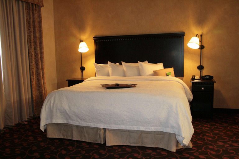 Bedroom 4, HamptonInn Dallas North Entertainment District, Arlington