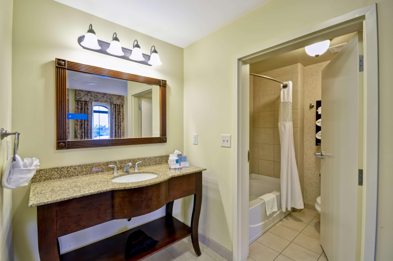 Bathroom 5, Hampton Inn&Suites North Charleston-University, Charleston