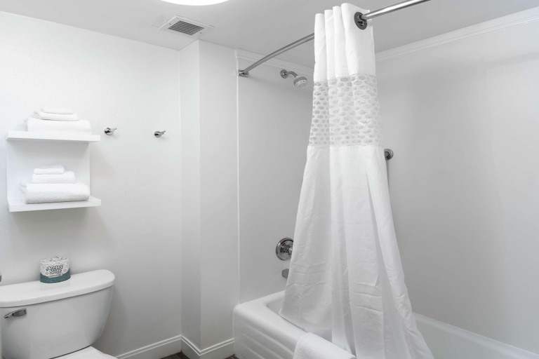 Bathroom 4, Hampton Inn & Suites Raleigh/Cary I-40 (PNC Arena), Wake
