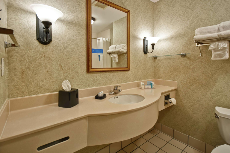 Bathroom 4, Hampton Inn & Suites Charleston/West Ashley, Charleston