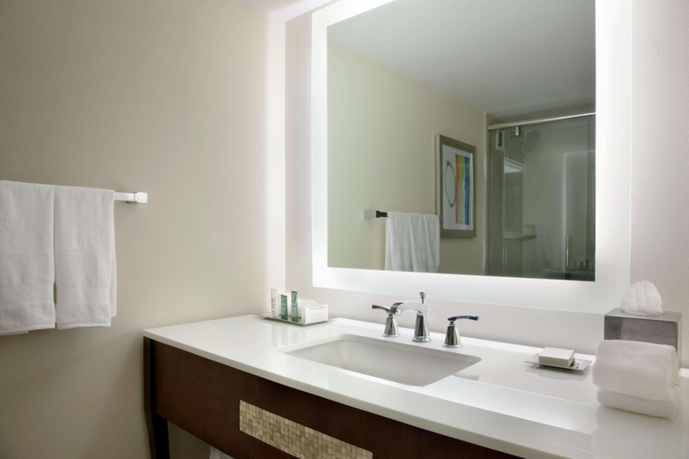 Bathroom 5, Hilton Miami Airport Blue Lagoon, Miami-Dade