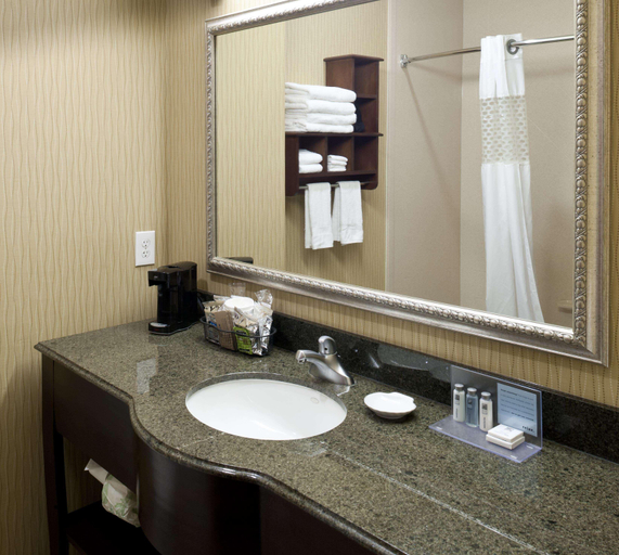 Bathroom 4, Hampton Inn & Suites Texarkana, Bowie