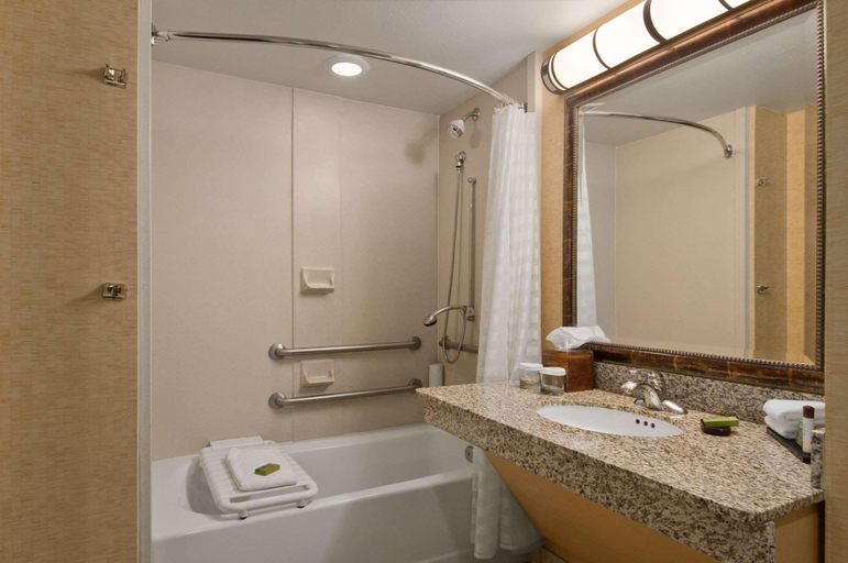 Bathroom 4, Embassy Suites by Hilton Charlotte Concord Golf Re, Cabarrus