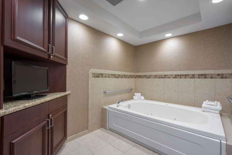 Bathroom 5, Hilton Garden Inn Sioux City Riverfront, Dakota