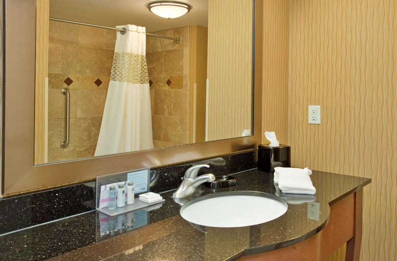 Bathroom 4, Hampton Inn & Suites Watertown, Codington