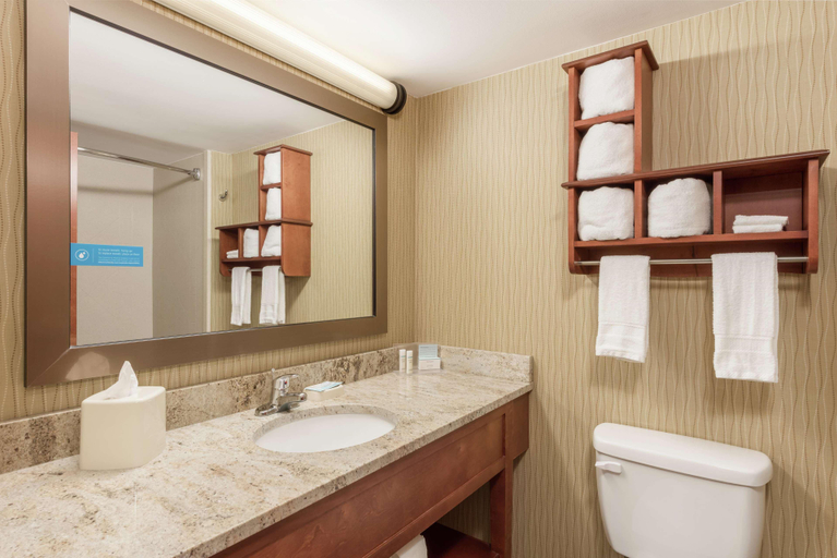 Bathroom 4, Hampton Inn Branson on the Strip, Taney